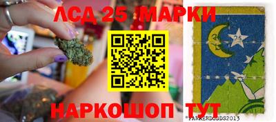 a pvp Славгород