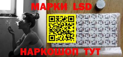 прущие грибы Сланцы