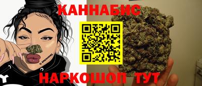 a pvp Славгород