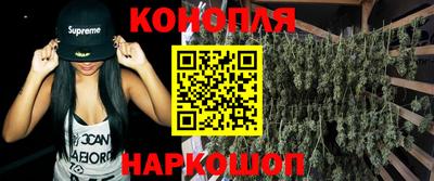 прущие грибы Сланцы
