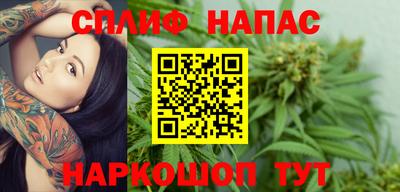 a pvp Славгород