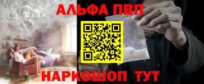 a pvp Славгород
