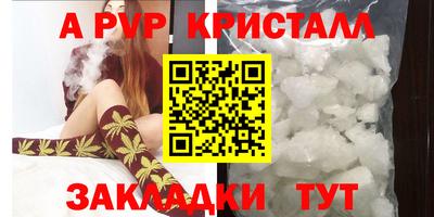 a pvp Славгород