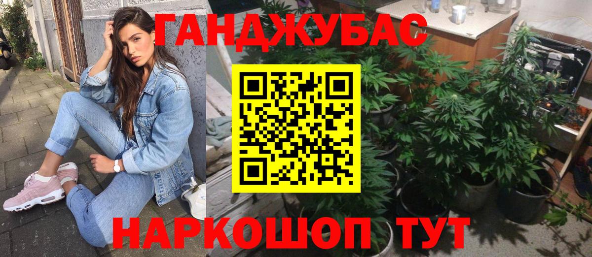 Конопля индика Волжский